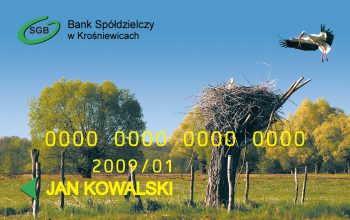 BS--Krośniewice-wizual-350x220