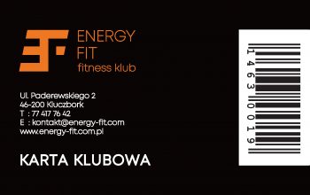 Energy-fit-wizual-350x220